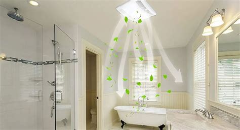 Top 14 Best Bathroom Exhaust Fan Brands In 2022 - Hey Love Designs