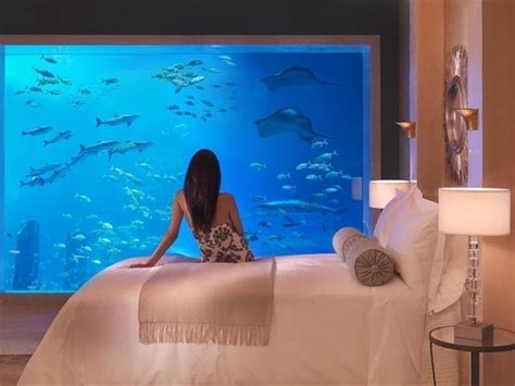 The Most Spectacular Underwater Hotels And Restaurants The World Has To ...
