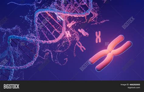 Dna Spiral Structure. Image & Photo (Free Trial) | Bigstock