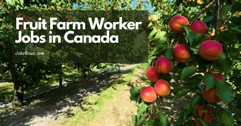 Fruit Farm Worker Jobs in Canada (10 New Jobs)