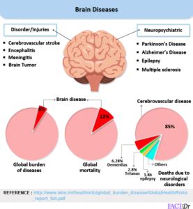 Common diseases that could cripple your vital organs - FactDr