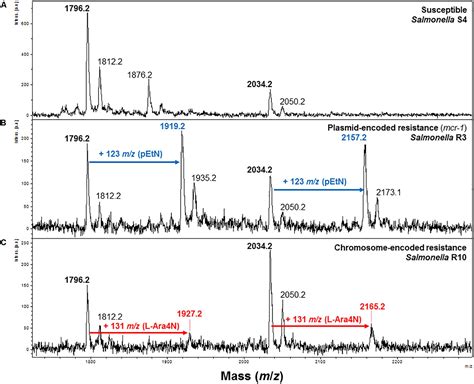 Frontiers | Detection of Colistin Resistance in Salmonella enterica Using MALDIxin Test on the ...