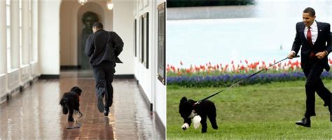 Barack Obama and all his family is a real dog lover