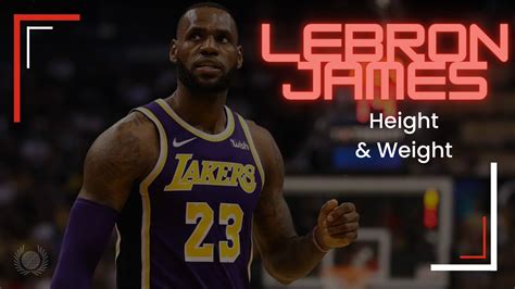 Lebron James Height 2024 - Bette Chelsae