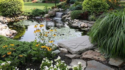 9 Koi Pond Maintenance Tips for a Healthy Pond