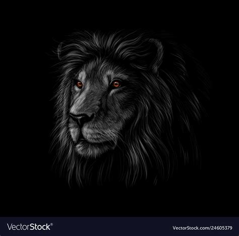 Portrait of a lion head on black background Vector Image