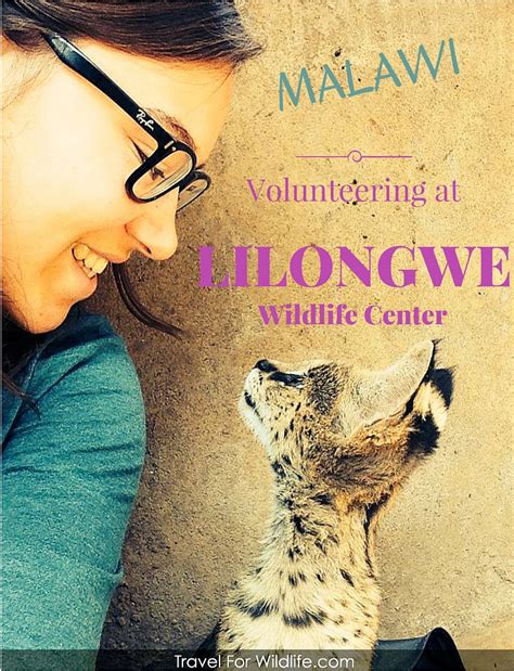 Volunteering with Wildlife in Malawi - Travel For Wildlife