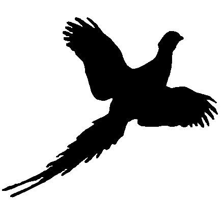 Flying Silhouette | Pheasant, Pheasant hunting, Silhouette