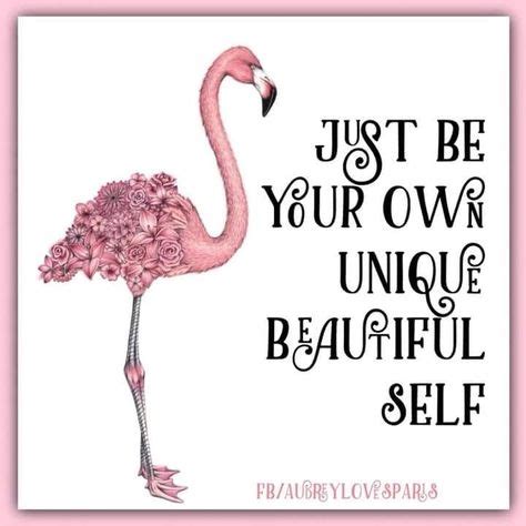 14 Best Flamingo Quotes and pictures images | Flamingo, Flamingo party, Pink flamingos