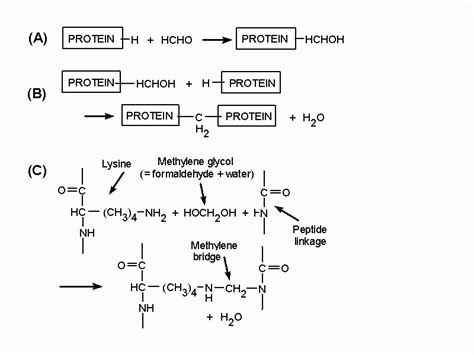 Practical considerations relating to formaldehyde