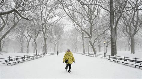 Photos | New York in emergency due to the exceptional snowfall - World Today News