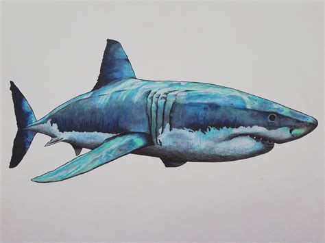 I drew a great white shark with pencil, fineliner and Copic markers ...