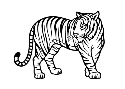 17+ Printable tiger pictures information | freecoloring