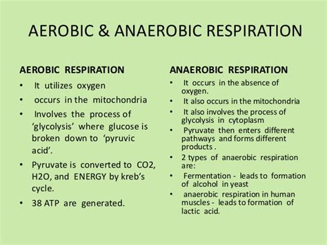 I LOVE BIOCHEMISTRY - DIFFERENCES AEROBIC AND ANAEROBIC