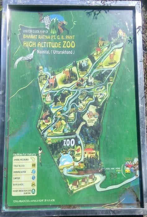 Nainital Zoo | Nainital, Zoo in india, Zoo map