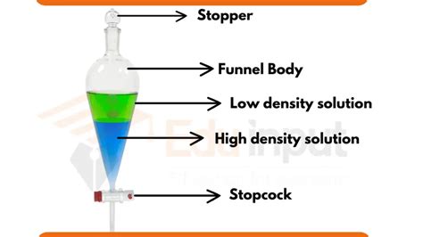 Separatory Funnel-Principle, Parts, Types, Sizes, and Applications