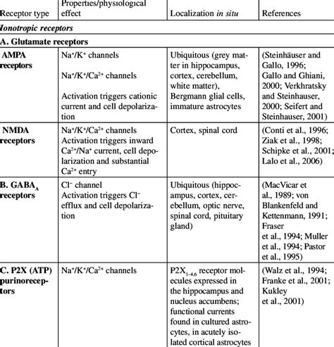 Neurotransmitters And Their Functions Chart