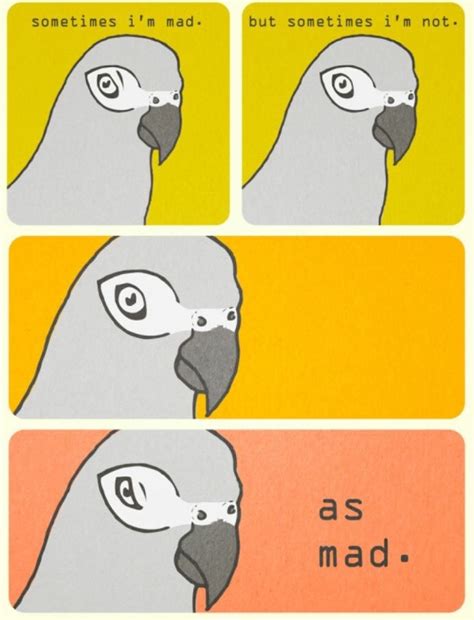 The best parrot memes :) Memedroid