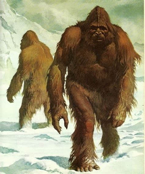 70s Sci-Fi Art | Bigfoot art, Bigfoot pictures, Cryptozoology