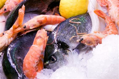 Frozen seafood Images - Search Images on Everypixel