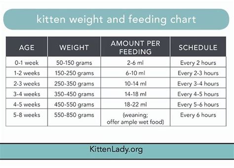 Printable Kitten Feeding Chart