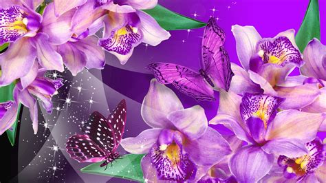 Free download Pics Photos Purple Orchid Flowers For Desktop [1600x900] for your Desktop, Mobile ...