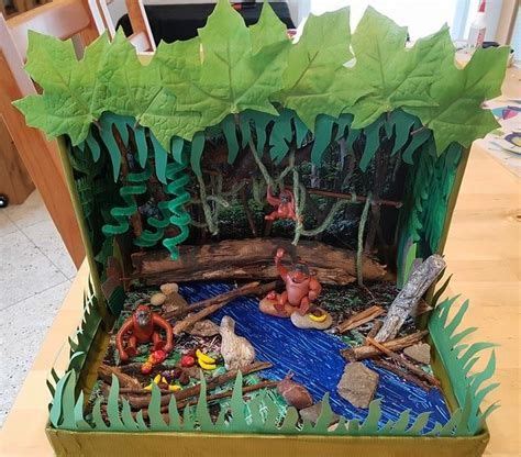 Projects - 2nd Grade ROCKS! | Diorama Kids, Rainforest in 2021 | Diorama kids, Habitats projects ...