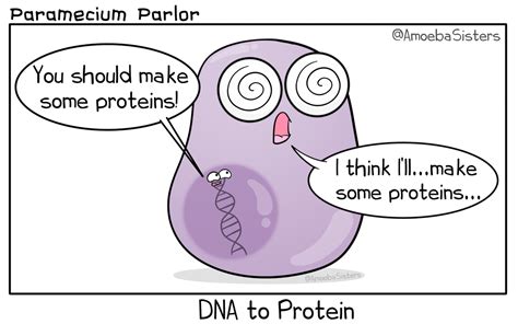 Paramecium Parlor Comics - SCIENCE WITH THE AMOEBA SISTERS