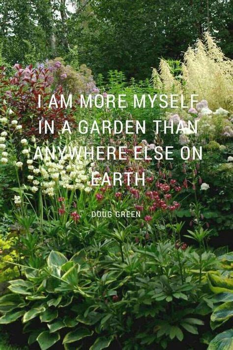 Better Than I Deserve | Garden quotes, Garden signs, Garden compost