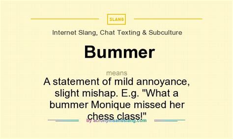 Bummer - A statement of mild annoyance, slight mishap. E.g. What a bummer Monique missed her ...