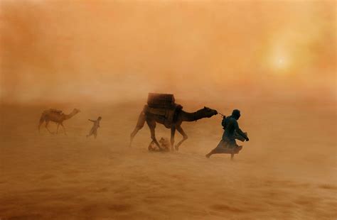 Steve McCurry Biography, Artworks & Exhibitions | Ocula Artist