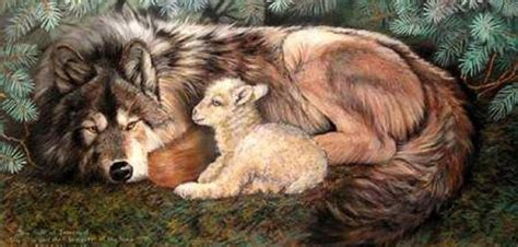 The wolf and the lamb | Faith | Pinterest | Lambs and Wolf