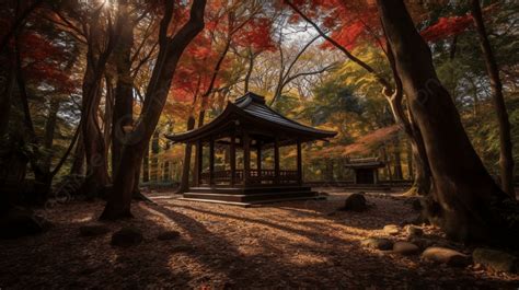 Pagoda In The Forest Lit Up By Sunlight Background, Aichi Okazaki Park ...