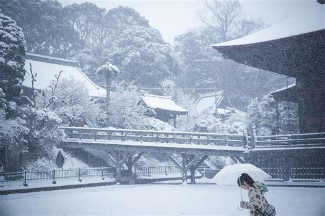 snowy temple or temple in snow 4 | Japanese traditional architecture, Winter in japan, Snow japan