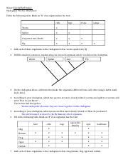 Cladogram Worksheet.doc - Name: Kendall McCluskey Cladogram Practice ...