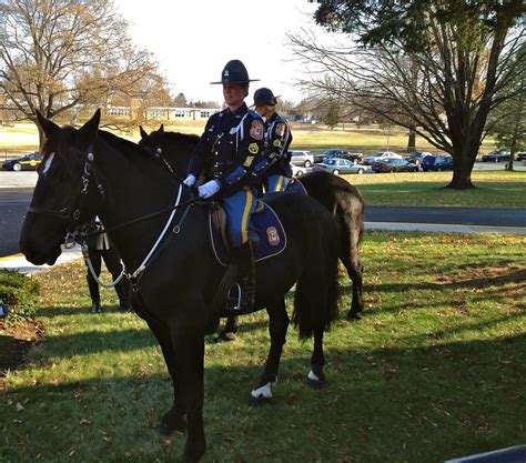 Delaware State Police | Delaware State Police Mounted Patrol… | Flickr