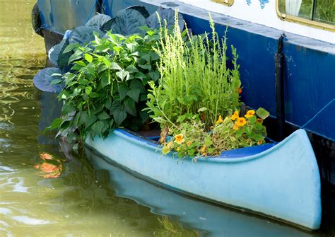 If you live on a boat and think you have nowhere to grow your own food or have a garden, you're ...