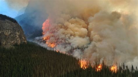How weather, COVID-19 spared Canada from wildfires like those in the U.S. | CTV News