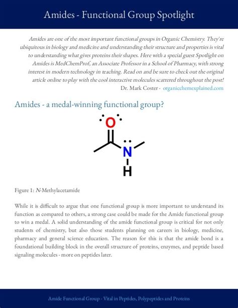 Amides - Functional Group Spotlight - Organic Chemistry Explained