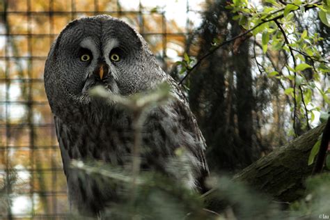 lau photography: Day at Rotterdam Zoo