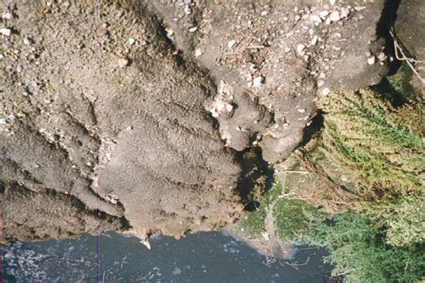 Berm erosion caused by agitation or backwash during pump-out. | Download Scientific Diagram