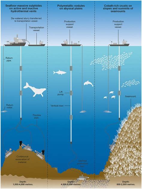 Seabed mining could do irreversible damage to deep-sea ecosystems - YubaNet