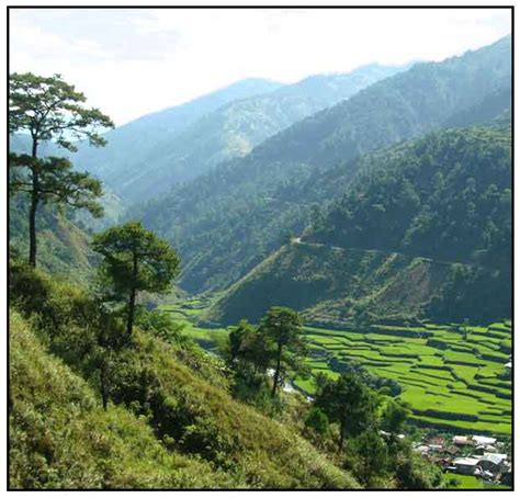 A Trip to Sagada / Rice Terraces / StuartXchange