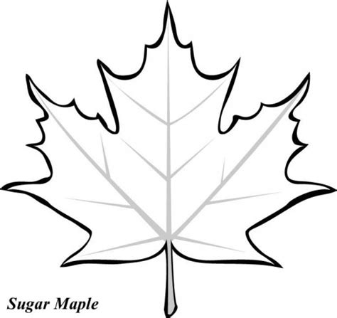 Maple Leaf Stencil Printable - ClipArt Best