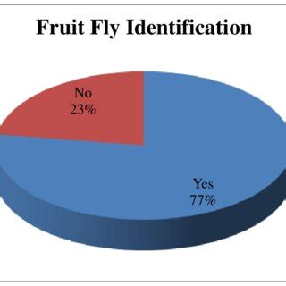 Fruit Fly Identification (Source: Own study) | Download Scientific Diagram