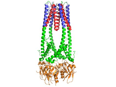 Lipase - Proteopedia, life in 3D