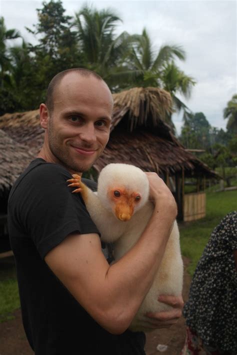 Fun Facts About The Cuscus Of Papua New Guinea - Man vs Clock