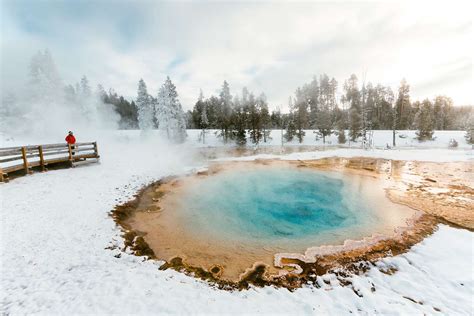 Why You Should Book a Winter Trip to Yellowstone National Park