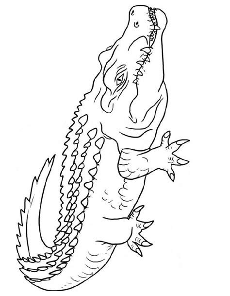 Printable alligator coloring page
