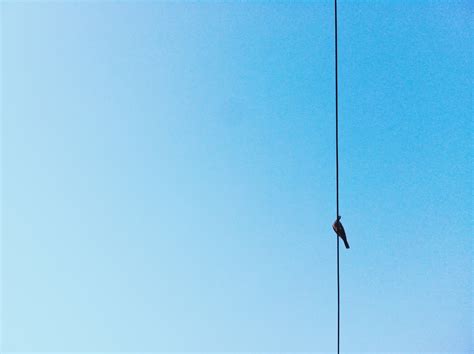 图片素材 : 鸟, 天空, 风, 线, 跳跃, 桅杆, 蓝色, 路灯, 灯光, 孤, 灯具, 人类行为 2592x1936 - - 99871 - 素材中国, 高清壁纸 - PxHere摄影图库